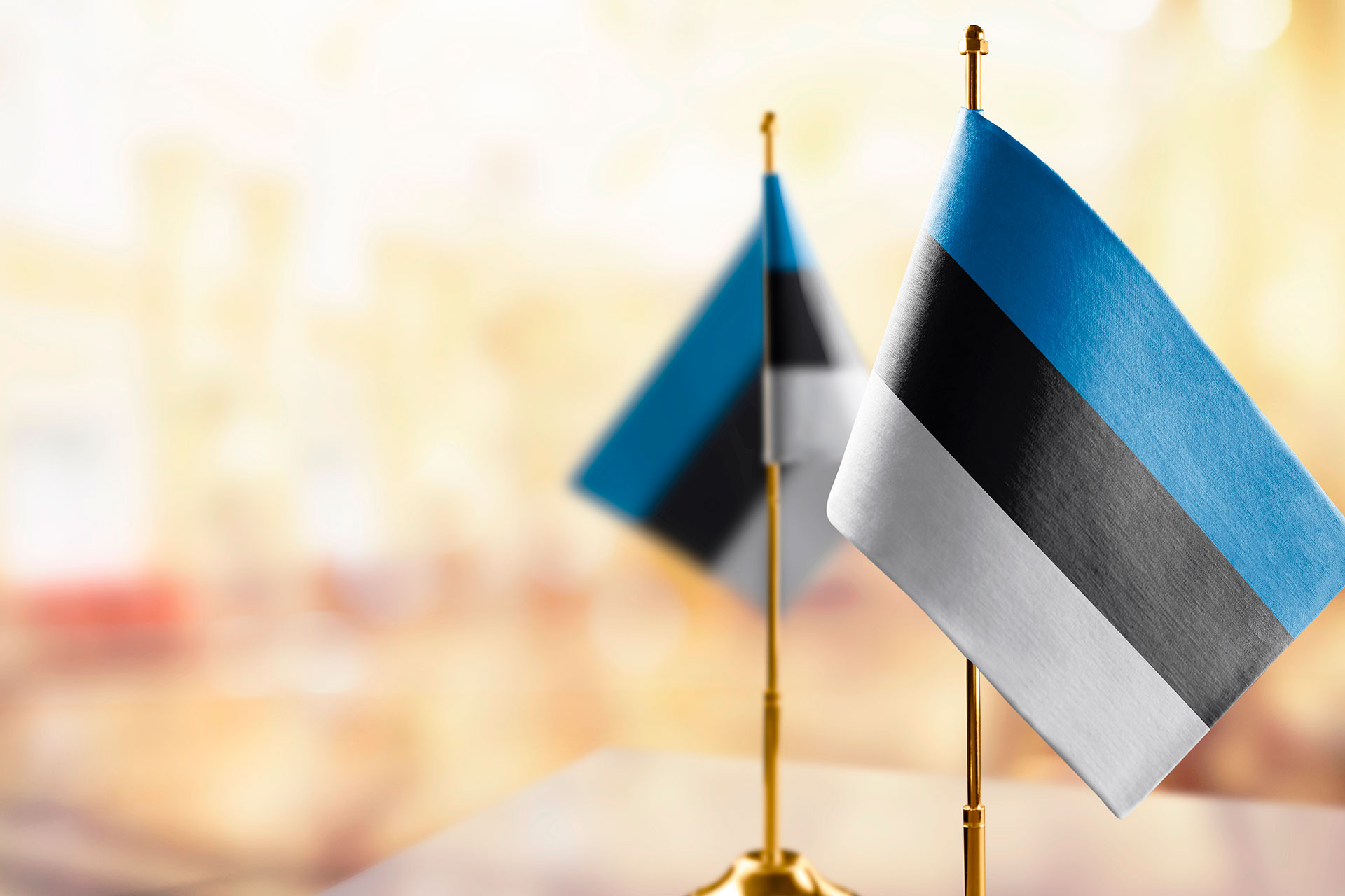 Два національні прапорці Естонії